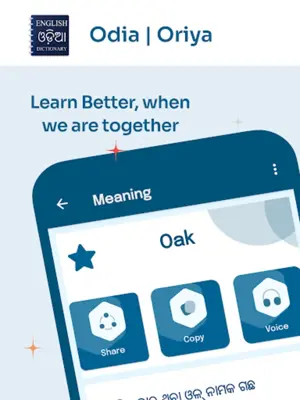 English to Odia Dictionary android App screenshot 3